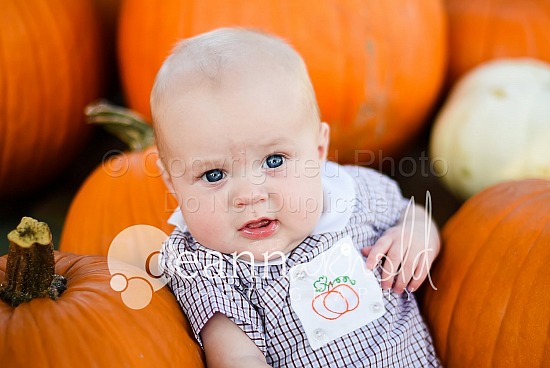 Pumpkin Patch-Ferrell